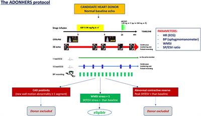 Donor shortage in heart transplantation: How can we overcome this challenge?